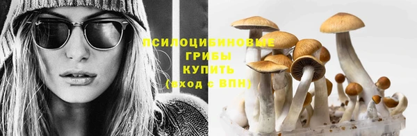 прущие крисы Алексин